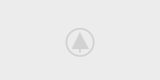 wood-gallery-placeholder-5 wood-gallery-placeholder-5